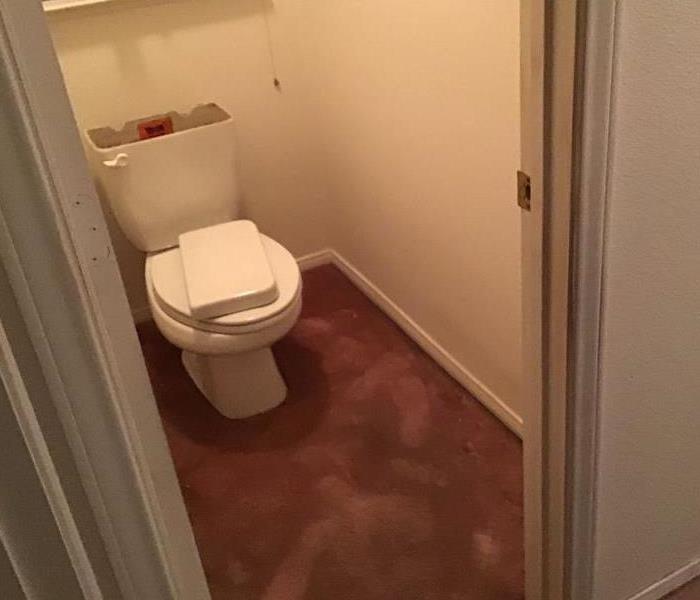 Water closet with saturated carpet