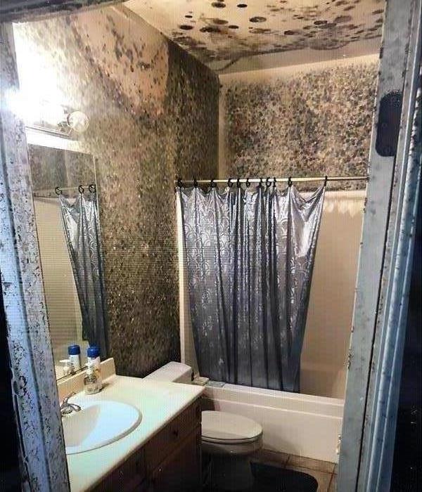 Moldy bathroom