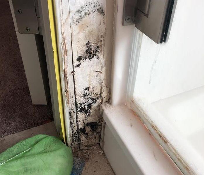 Mold on drywall from a leaky shower door seal
