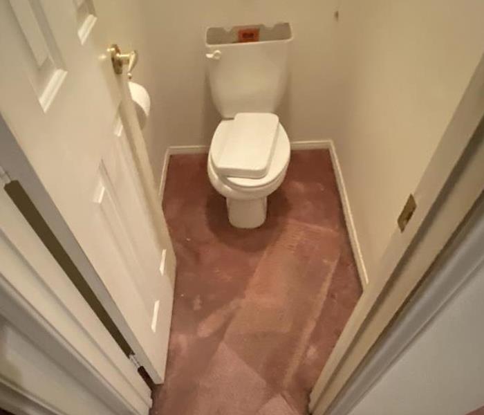 Toilet leak contaminating carpet with black water